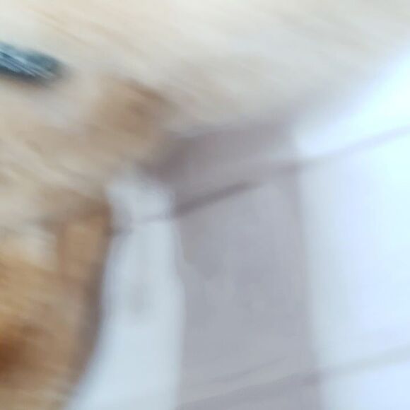 FAO Schwarz Roaring Light Up Stegosaurus Dinosaur Plush 17" Stuffed Animal Boy - Picture 6 of 8